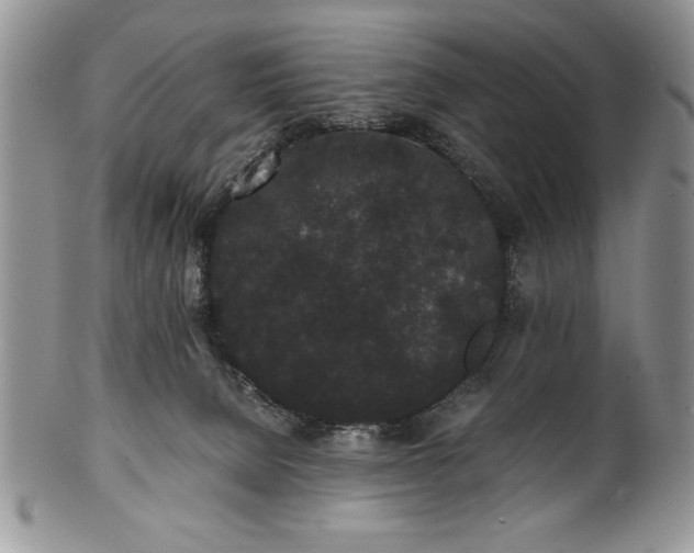 X0000101950080200808011055