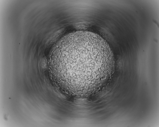 X0000101950081200808011055