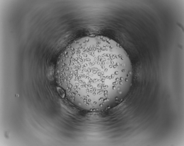 X0000101950082200808011055