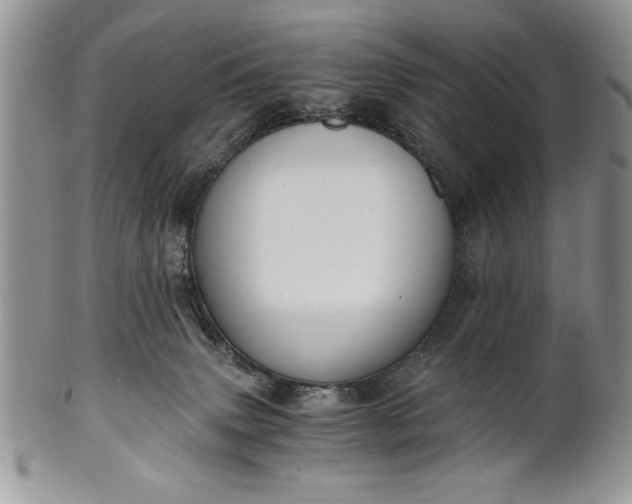 X0000101950083200808011055