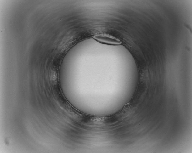 X0000101950084200808011055