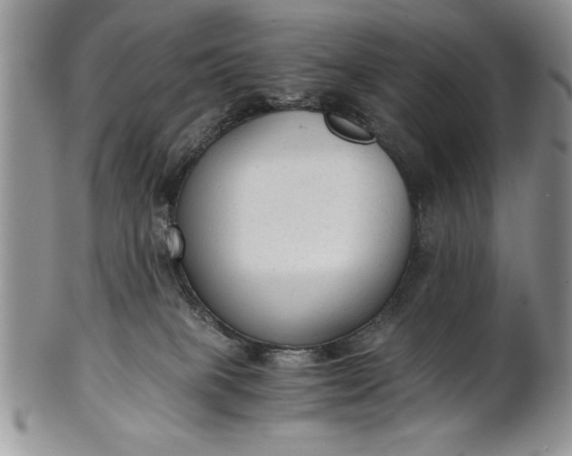 X0000101950085200808011055