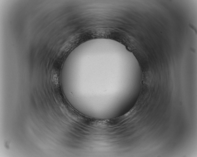 X0000101950086200808011055