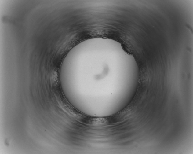 X0000101950087200808011055