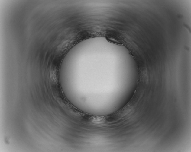 X0000101950088200808011055