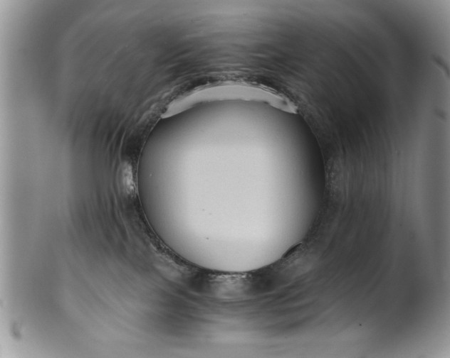 X0000101950089200808011055