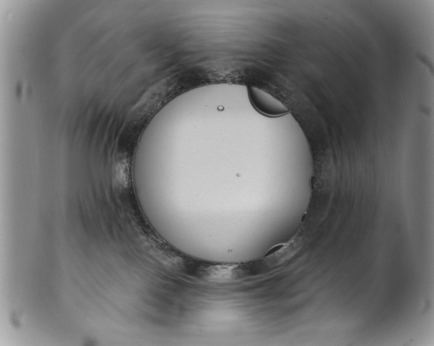 X0000101950090200808011055