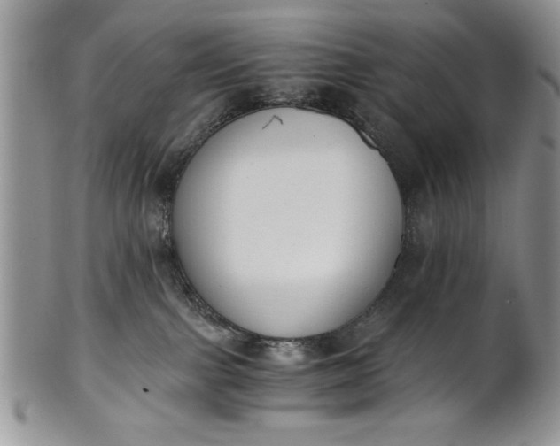 X0000101950091200808011055