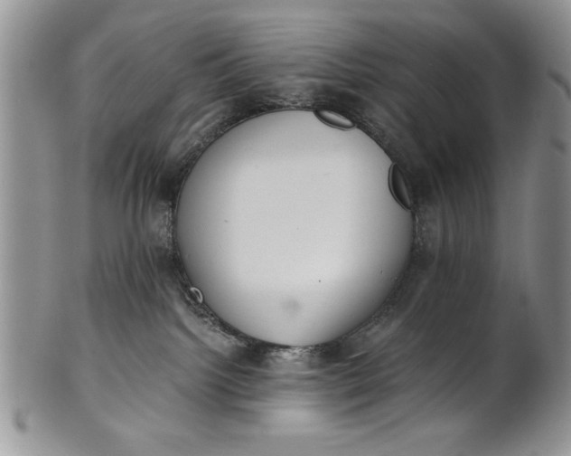 X0000101950092200808011055