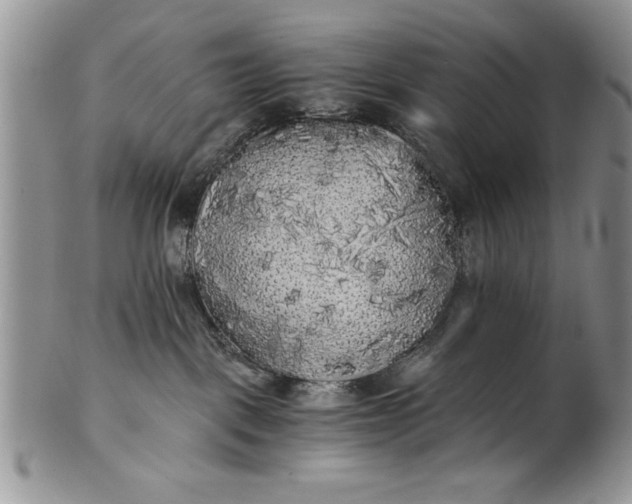 X0000101950093200808011055