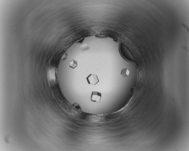 X0000101950094200808011055