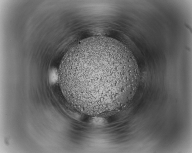 X0000101950095200808011055