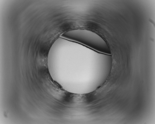 X0000101950096200808011055