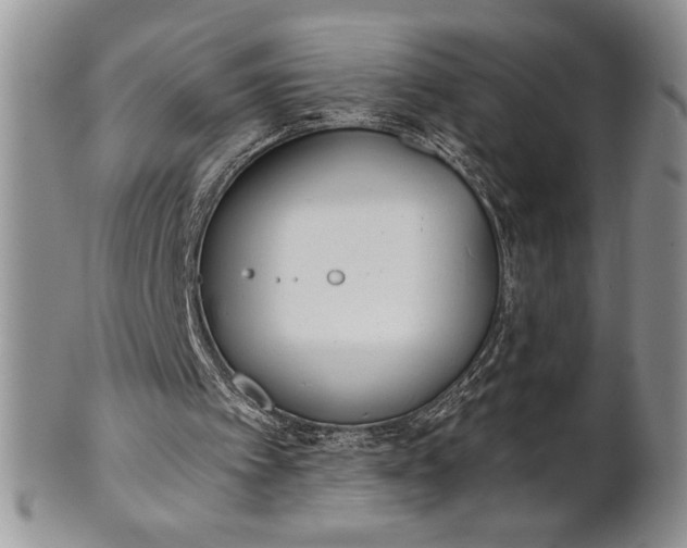 X0000101950097200808011054