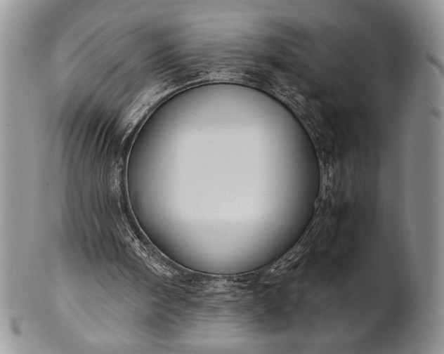 X0000101950098200808011054