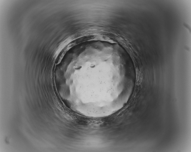 X0000101950099200808011054