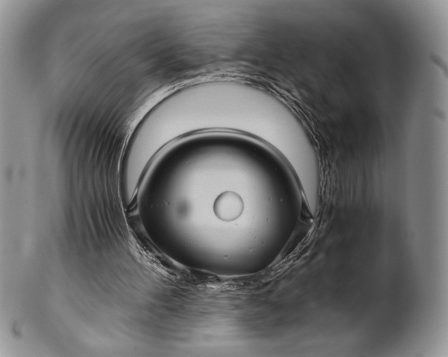 X0000101950100200808011054