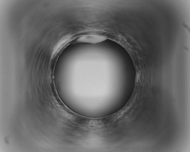 X0000101950101200808011054