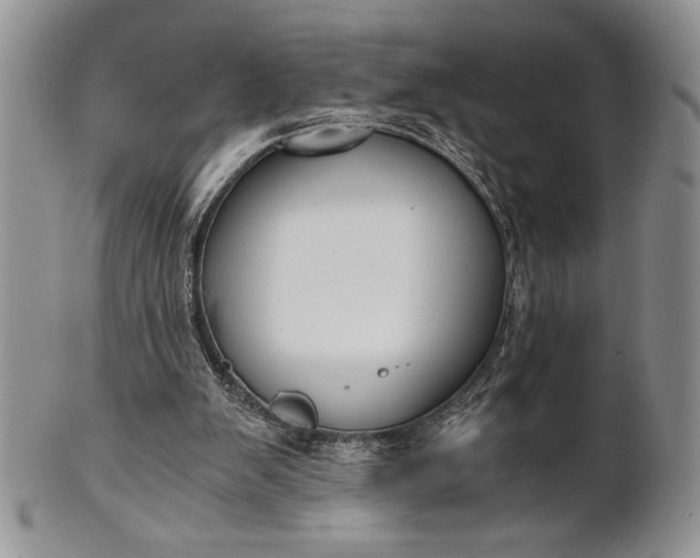 X0000101950103200808011054