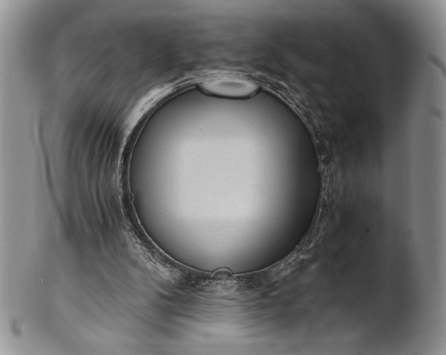 X0000101950104200808011054