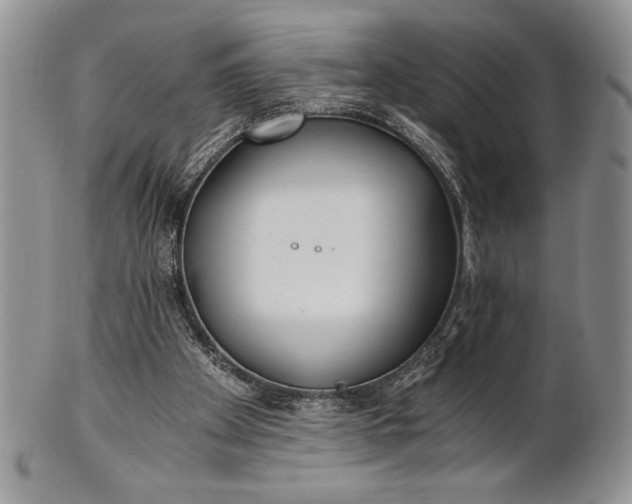 X0000101950105200808011054