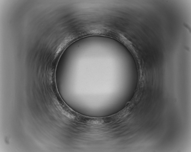 X0000101950106200808011054