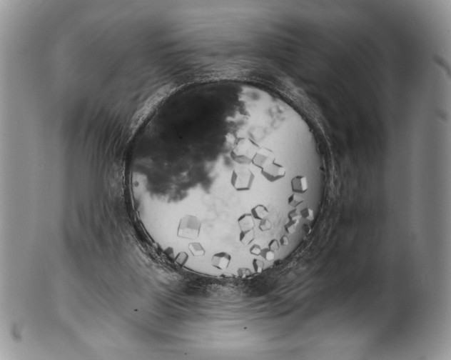 X0000101950107200808011054