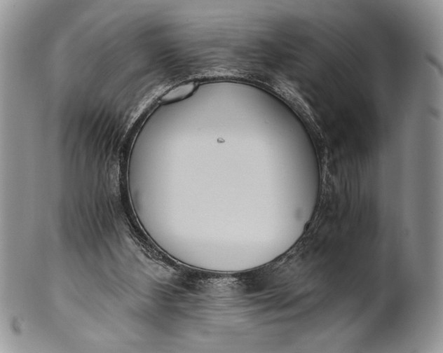 X0000101950108200808011054