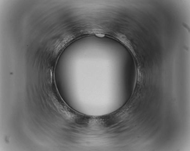 X0000101950109200808011054