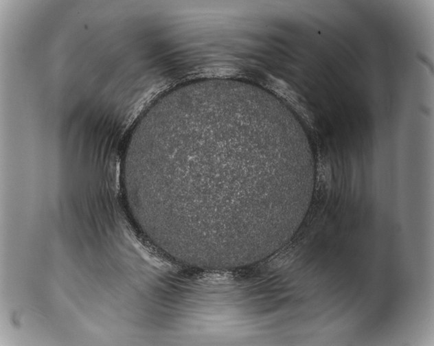 X0000101950110200808011054