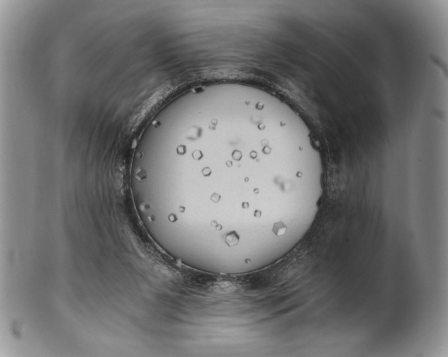 X0000101950111200808011054