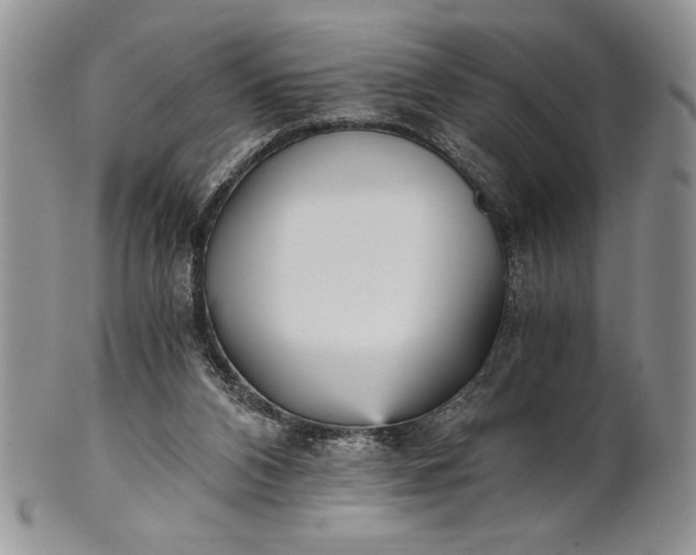 X0000101950112200808011054