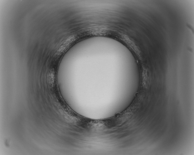 X0000101950113200808011054