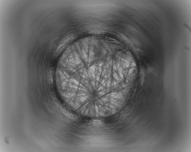 X0000101950114200808011054