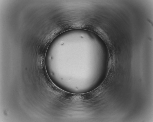 X0000101950115200808011054