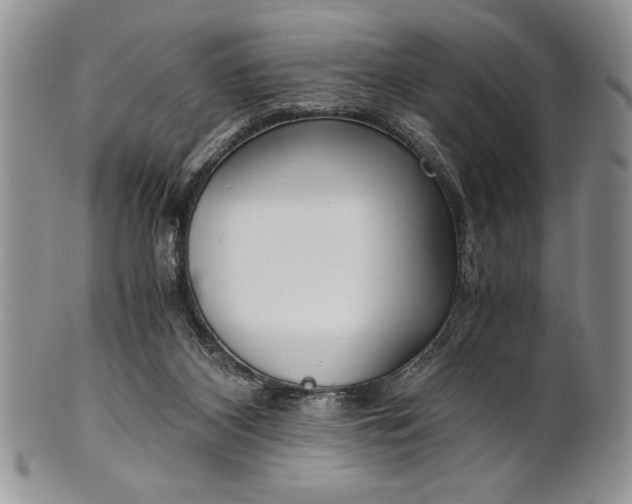 X0000101950116200808011054