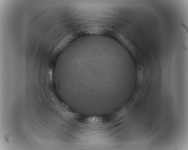 X0000101950117200808011054