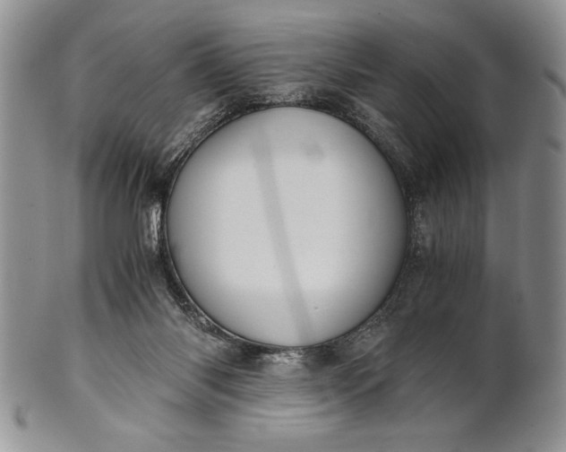 X0000101950118200808011054