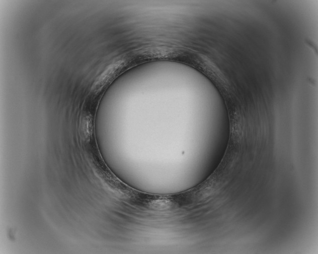 X0000101950119200808011054