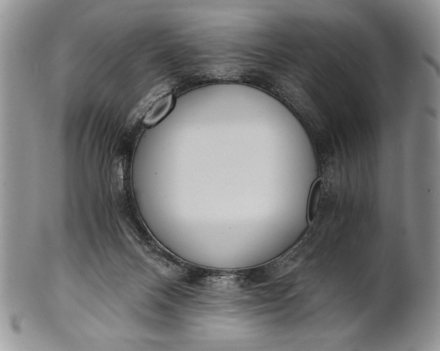 X0000101950120200808011054