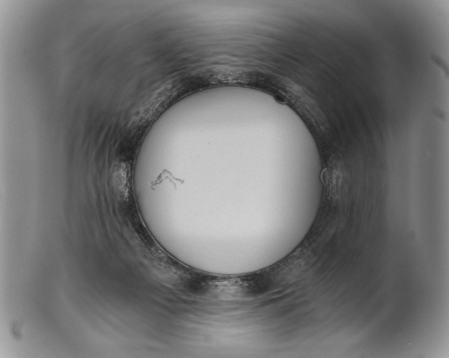 X0000101950121200808011054