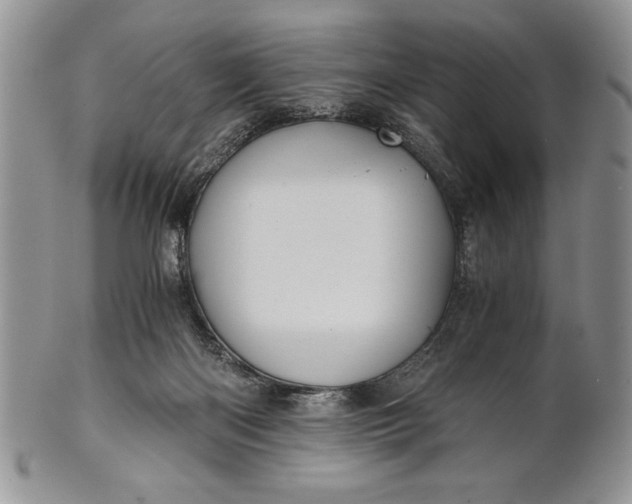 X0000101950122200808011054