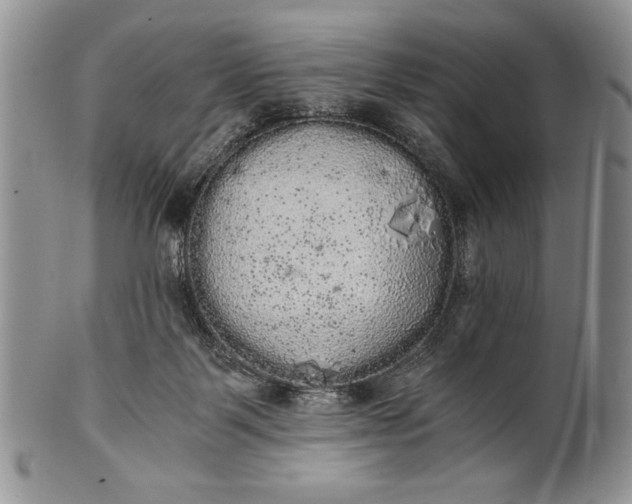 X0000101950123200808011054