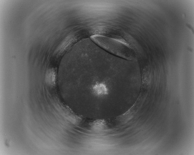 X0000101950124200808011054