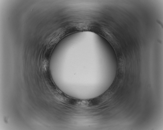 X0000101950125200808011054