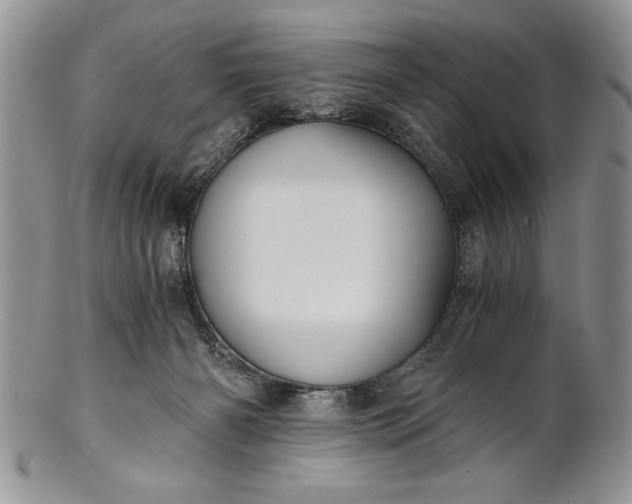 X0000101950126200808011054