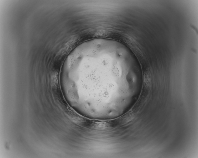 X0000101950127200808011054