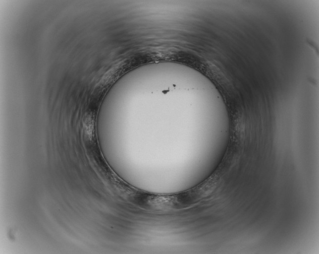 X0000101950129200808011054