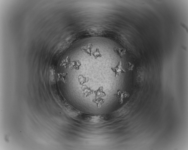 X0000101950130200808011054