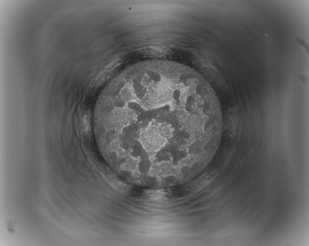 X0000101950131200808011054